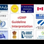 GMP guidelines types