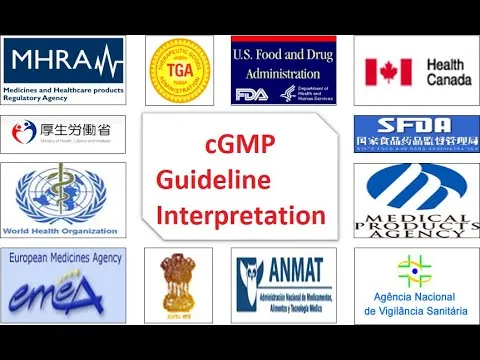 GMP guidelines types